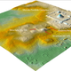 Lidar image showing the newly discovered complex. The city of Tikal is shown at top right.